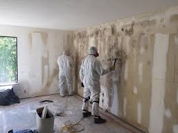 Mold Documentation for Insurance Claims in Pleasant View, TN